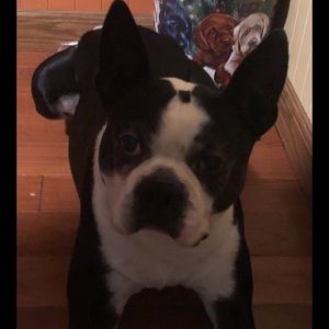 Meet your Posher, Wendy